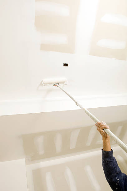 Best Mold Removal for HVAC Installations  in Salida Del Sol Estates, TX