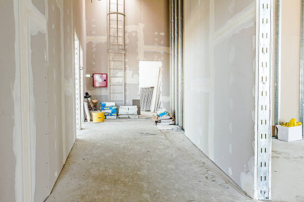 Trusted Salida Del Sol Estates, TX Mold Removal Experts
