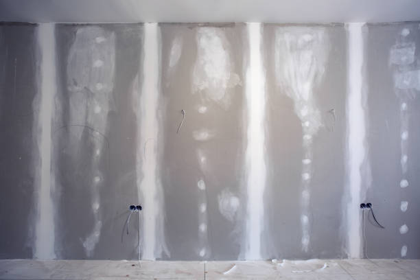 Best Emergency Mold Remediation  in Salida Del Sol Estates, TX